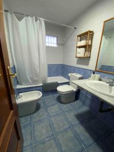 a blue and white bathroom with a toilet and a sink at Casa con piscina y chimenea en Albayzin alto in Granada