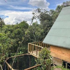 eine Holzterrasse neben einem Haus mit Bäumen in der Unterkunft Hermosa cabaña con huerta - Casa verde in Medellín