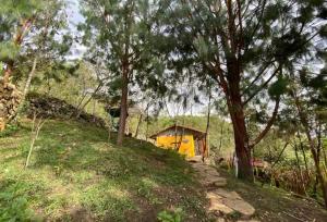 una casa amarilla al lado de una colina con árboles en Casa de la Montaña Sagrada (Hospedaje Místico), en Cuispes