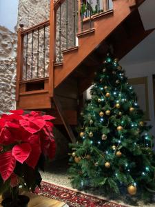 un árbol de Navidad verde sentado bajo una escalera en Casa Doranda Vegueta, en Las Palmas de Gran Canaria