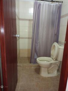 La salle de bains est pourvue de toilettes et d'un rideau de douche. dans l'établissement Casa Ana, à Santiago