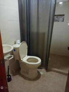 La salle de bains est pourvue de toilettes et d'un lavabo avec rideau de douche. dans l'établissement Casa Ana, à Santiago