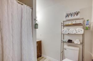 ein Bad mit einem WC und einem Duschvorhang in der Unterkunft Peaceful Montgomery Vacation Rental with Porch! in Montgomery