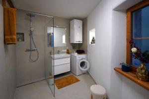 a bathroom with a washing machine and a washer at Altstadt Apartment am Schergentor in Hall in Tirol