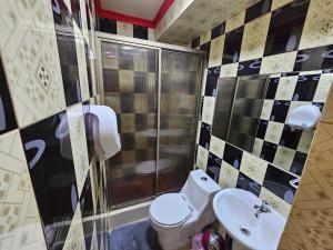 y baño con aseo, lavabo y ducha. en Hotel la Pampa, en Alto Hospicio