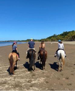 a group of people riding horses on the beach at Sea view hills bungalow in Torio