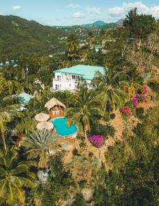Luftblick auf ein Resort mit Palmen in der Unterkunft Amazing mountain top home with pool in Marigot-Bucht