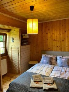 um quarto com uma cama com duas toalhas em Agroturystyka Siedlisko em Lubowidz