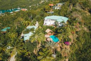 eine Luftansicht eines Hauses auf einem Hügel mit Palmen in der Unterkunft Modern 1 bed guesthouse with pool and ocean view in Marigot