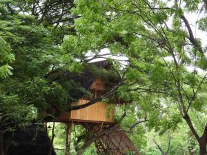 Fotografie z fotogalerie ubytování Yala Village Eco Tree House v destinaci Tissamaharama