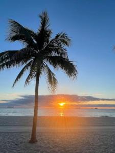 a palm tree on a beach with the sunset at Ocean Breeze Paradise Apt 5A in Fort Lauderdale