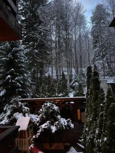 un patio cubierto de nieve con árboles y una casa en Vista Verde Apartment, en Sinaia 4 fotos más