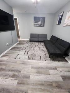 a living room with a couch and a flat screen tv at Blue Shark *B2* @ Bellaire 1BR King Apartment Near Medical Center in Houston