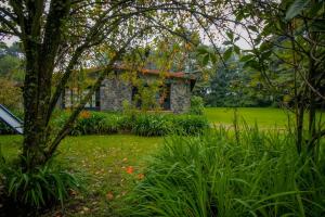 庫埃納瓦卡的住宿－¡Nueva! Bamboo Tesoro del Bosque，院子里有树的石头房子