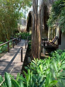 Casa Bambu Tayrona, Los Naranjos外面的花园
