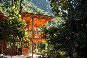 a tree house with a deck in the woods at Casa Curativa in Tzununá