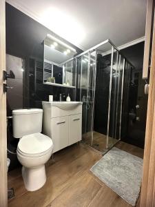 uma casa de banho com um WC branco e um chuveiro em Eleni’s Mountainview Central Studio by the Sea em Loutraki