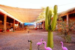a cactus and pink flamingos in front of a building at Atacama Checar, Hostal in San Pedro de Atacama