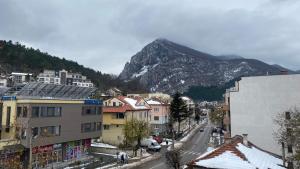 uma vista para uma cidade com uma montanha ao fundo em Хотел Враца em Vratsa