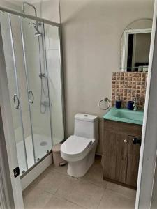 a bathroom with a shower and a toilet and a sink at Cómodo, tranquilo y acogedor. in Caldera