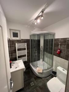 a bathroom with a shower and a tub and a sink at Mircea Vodă Residence in Craiova