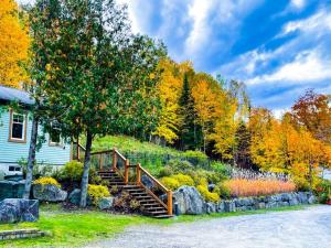 a house with a staircase leading up to a tree at Luxurious & Modern Tremblant Loft Pool&Spa Access in Mont-Tremblant