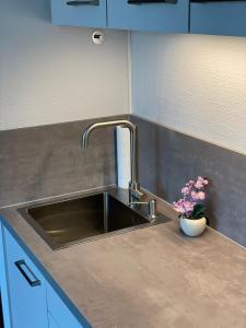 a kitchen counter with a sink and a vase of flowers at Hafen Pano Lux Appartment +Küche+TV+AC+TG+View in Düsseldorf