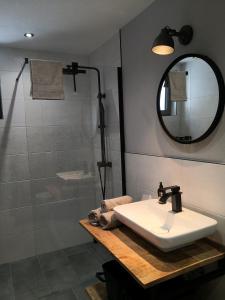uma casa de banho com um lavatório e um chuveiro com um espelho. em Apartment in Nonnweiler-Otzenhausen em Nonnweiler
