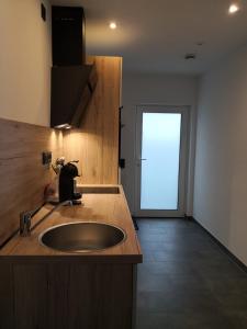 uma cozinha com um lavatório e uma porta com uma janela em Apartment in Nonnweiler-Otzenhausen em Nonnweiler