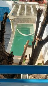una vista aérea de una piscina con un árbol en CASA MINERVA MERIDA, en Mérida