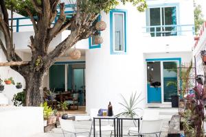 a house with white walls and a tree at CASA MINERVA MERIDA in Mérida