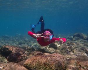 a person swimming in the ocean over a reef at Tinaoog Beach Resort in Romblon