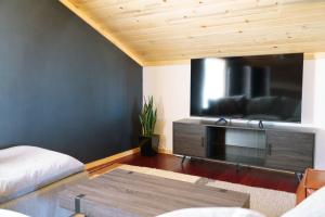 uma sala de estar com uma grande televisão de ecrã plano em Serene Mountainside Retreat em Fairplay