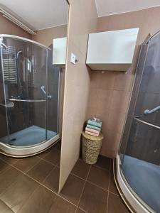 uma casa de banho com um chuveiro e uma cabina de duche em vidro. em Urban Loft em Salgótarján