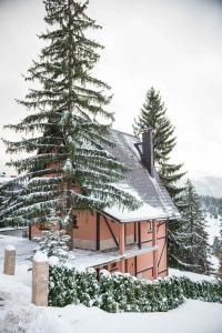 uma cabana com um telhado coberto de neve e uma árvore em Hills em Travnik