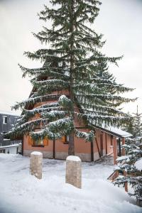 um grande pinheiro em frente a um edifício em Hills em Travnik