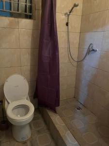 a bathroom with a toilet and a shower at Pearson Street in Freetown