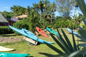 a group of surfboards are lined up on the grass at Heimanarii's Lodge - Fare Fetia in Haapiti