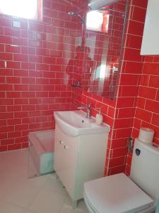 een rood betegelde badkamer met een toilet en een wastafel bij Rosso Apartment in Braşov
