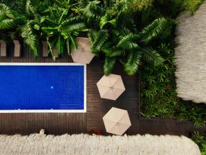 Casa Bambu Tayrona, Los Naranjos内部或周边的泳池