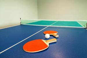 two tennis rackets and a ball on a court at New Lisbon Vacation Rental Near Castle Rock Lake in New Lisbon