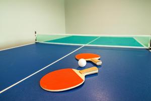 dos raquetas de tenis y una pelota en una cancha en New Lisbon Vacation Rental Near Castle Rock Lake en New Lisbon