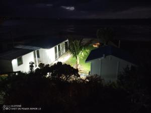 a house at night with a palm tree in the yard at Clarks beach batch snatch in Auckland