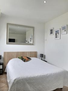 una camera bianca con letto e specchio di Résidence Le Bristol Amiens Centre ad Amiens