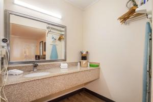 a bathroom with a sink and a mirror at Red Roof Inn Santee in Santee
