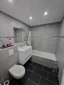 a bathroom with a toilet and a sink and a tub at Logement Atypique in Gex