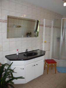 ein Bad mit einem Waschbecken, einem Spiegel und einer Dusche in der Unterkunft Holiday home in Bergen/Insel Rügen 2847 in Bergen auf Rügen