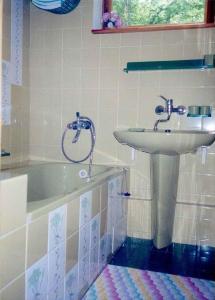 a bathroom with a bath tub and a sink at Holiday home in Marianska - Erzgebirge 1664 in Mariánská