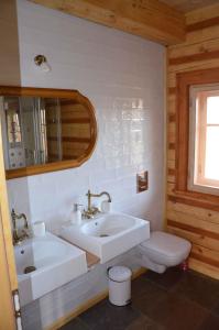 a bathroom with a sink and a toilet at Holiday home in Jilove u Drzkova 1736 in Jílové u Držkova