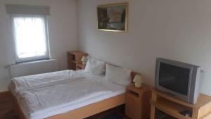 a small bedroom with a bed and a tv at Studio in Usedom - Insel Usedom 2319 in Welzin